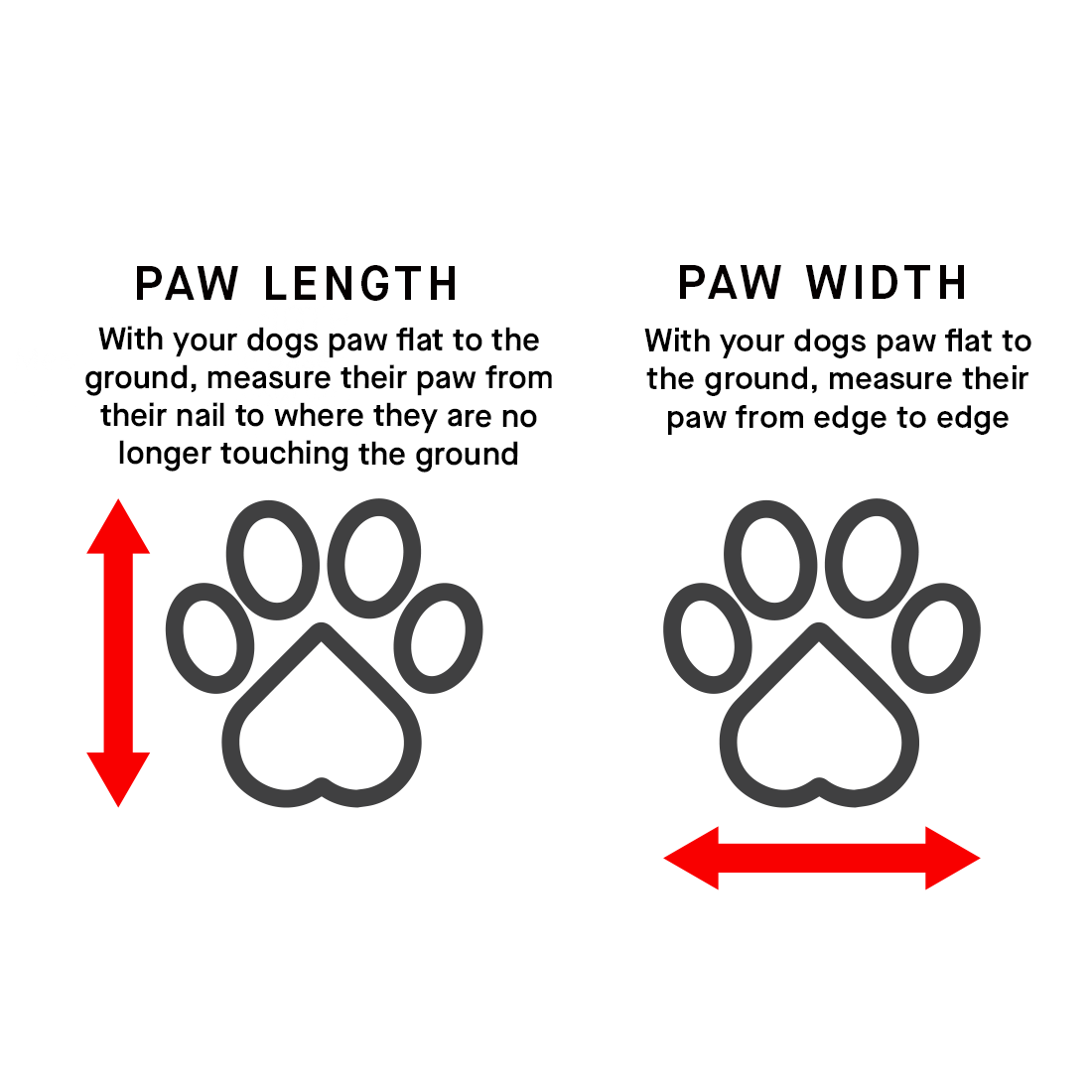 Canada Pooch Soft Shield Boots