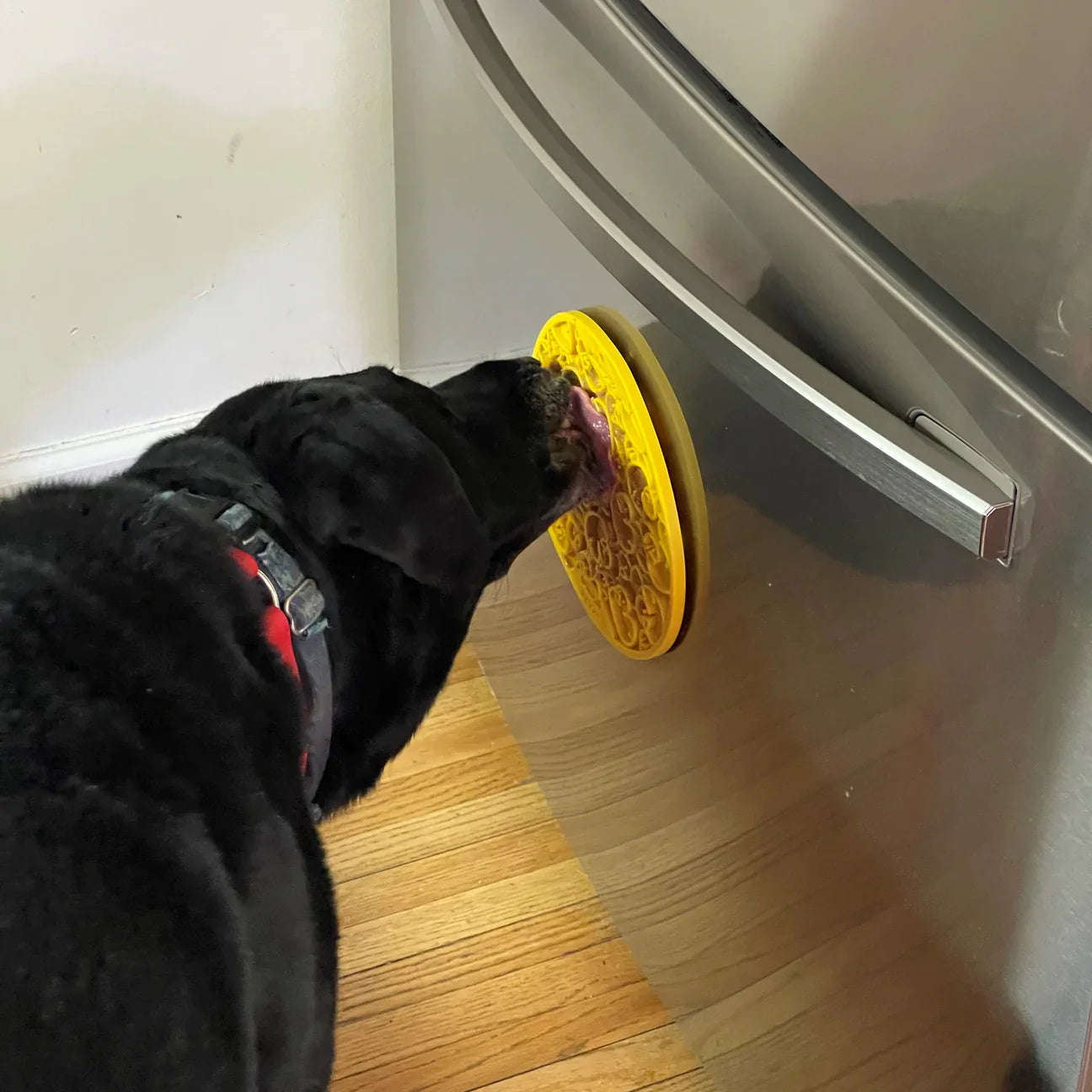Ducky Dog Lick Mat with Suction Cups