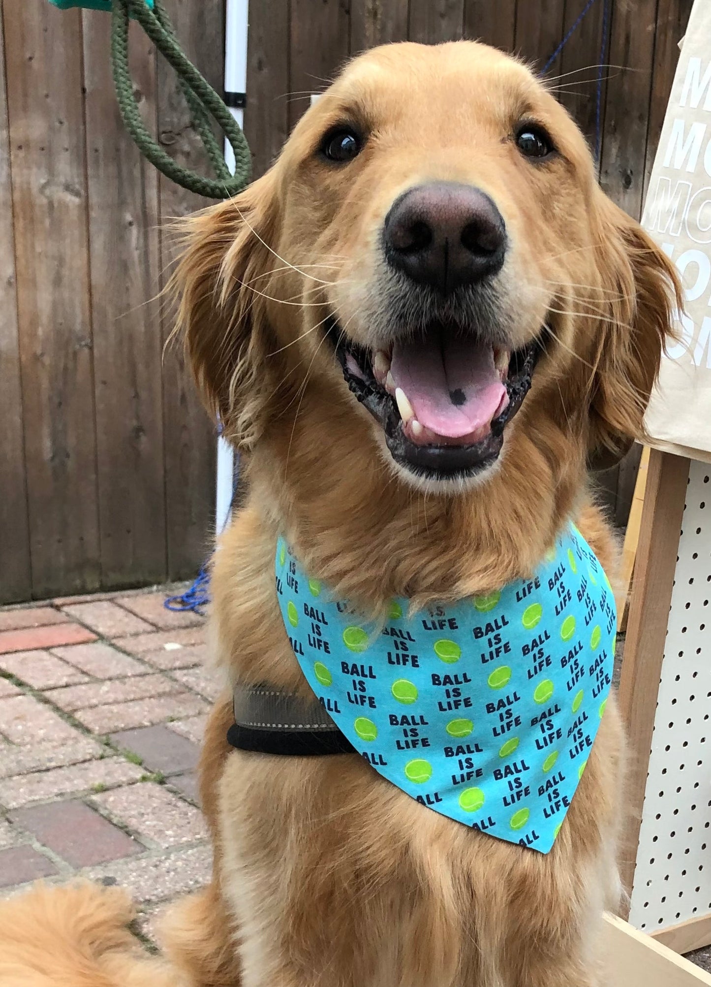 Ball is Life Dog Bandana