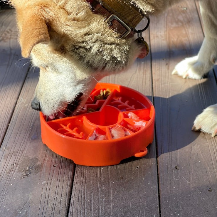 Great Outdoors Enrichment Slow Feeder Bowl for Dogs